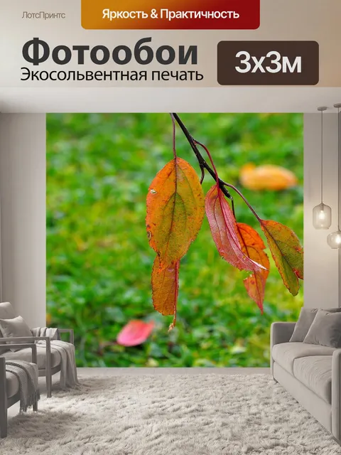 Фотообои Листья