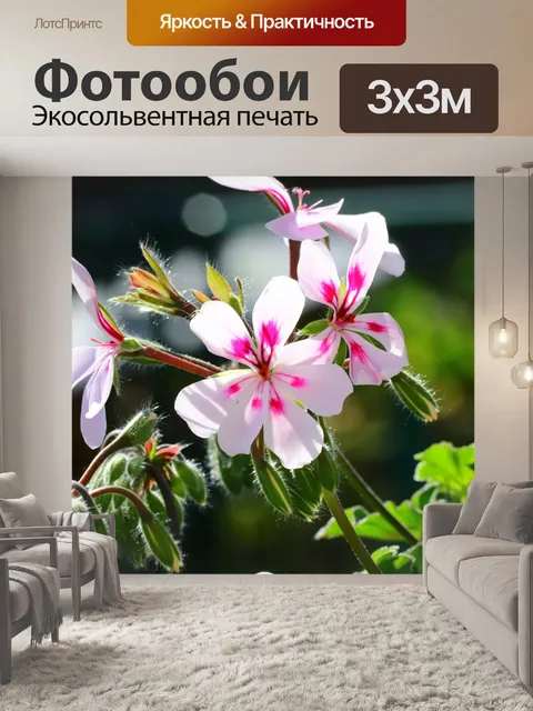 Фотообои Герань на балконе