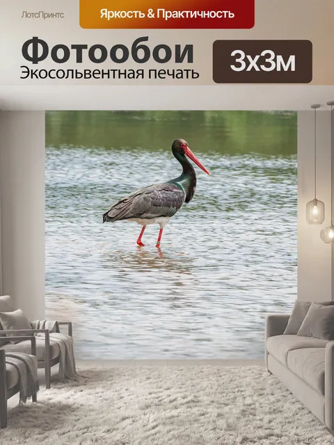 Фотообои Аист