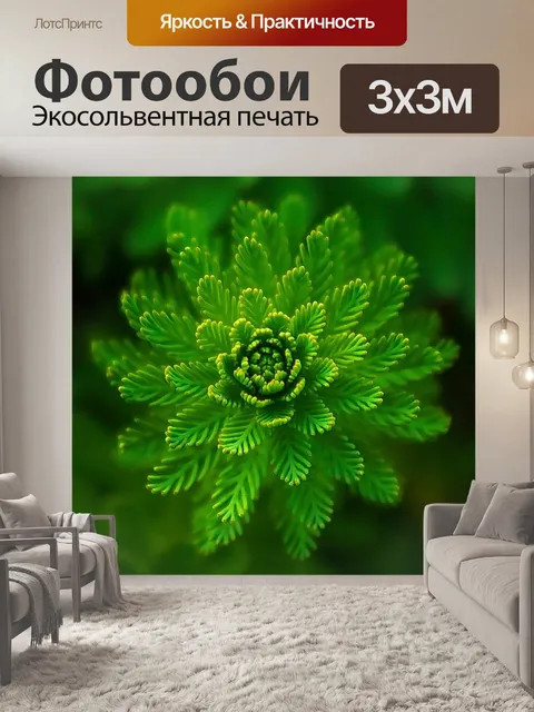Фотообои Папоротник