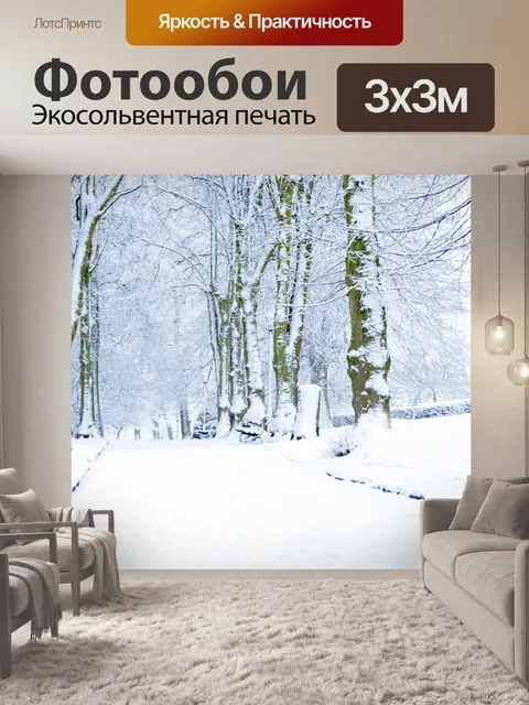 Фотообои Зимняя аллея в парке