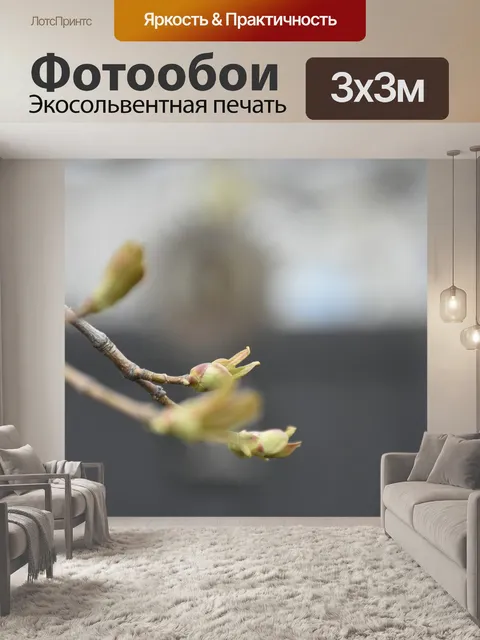 Фотообои Клен