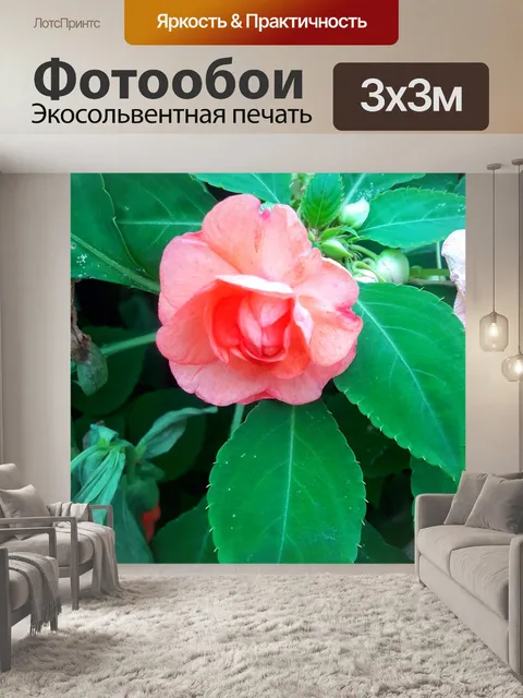 Фотообои Дерево