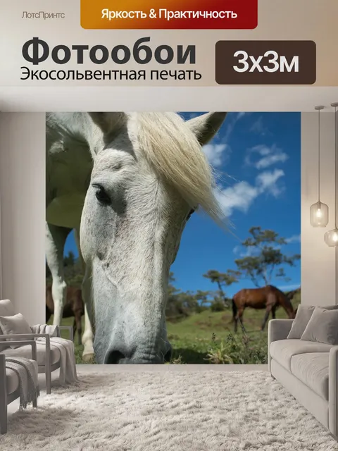 Фотообои Лошадь