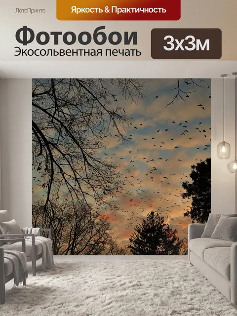 Фотообои Вечер