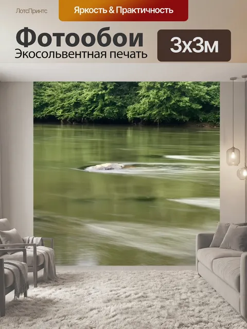 Фотообои Лес