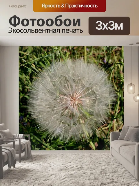 Фотообои одуванчик