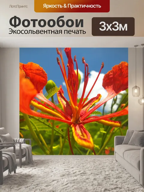 Фотообои Цветы