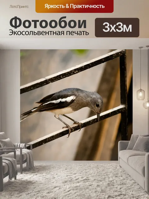 Фотообои Птица