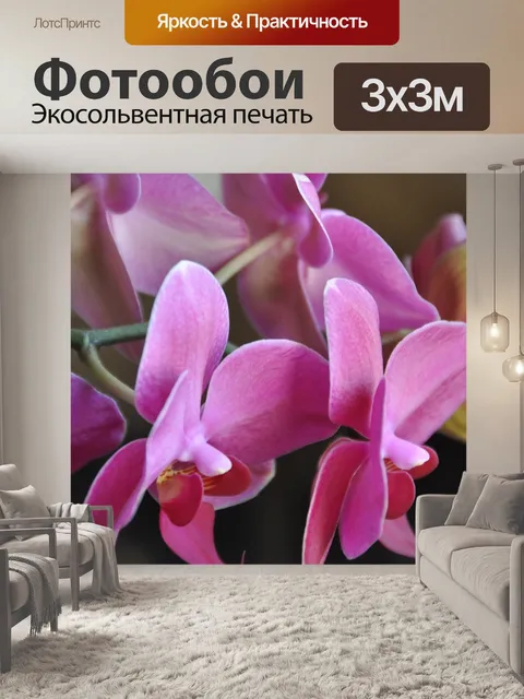 Фотообои Орхидеи