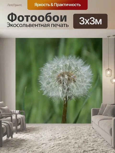 Фотообои Одуванчик