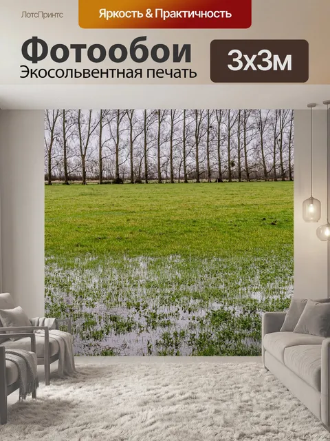 Фотообои Силуэт