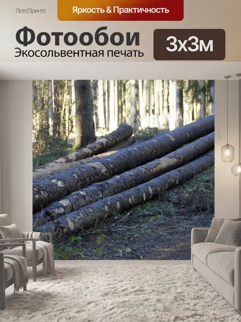 Фотообои Лес