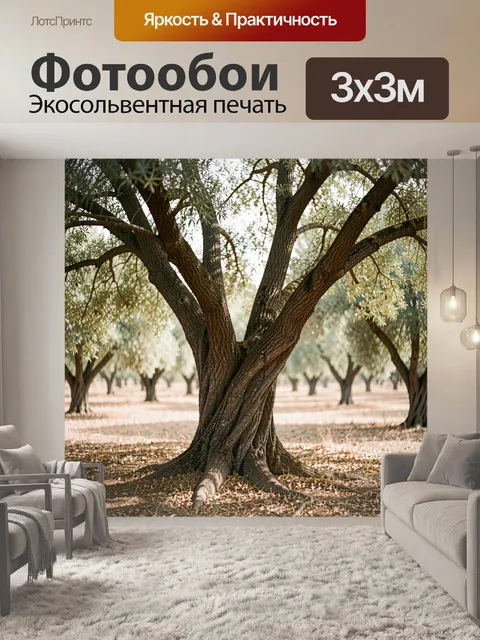 Фотообои Роща с раскидистыми деревьями