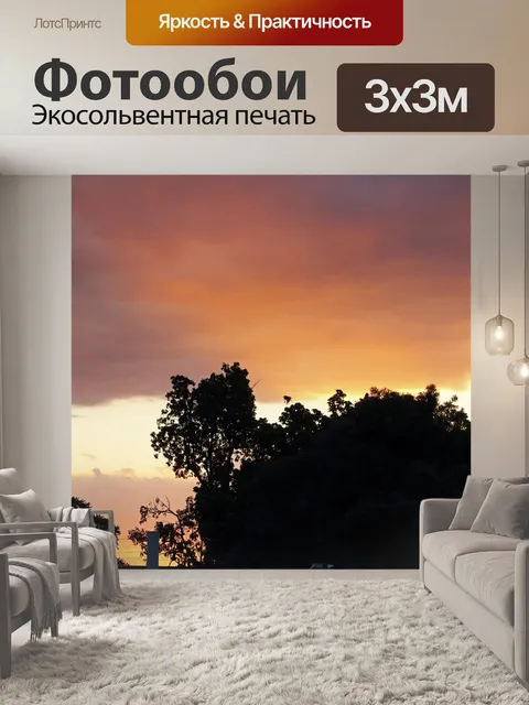 Фотообои закат небо с деревьями в силуэт