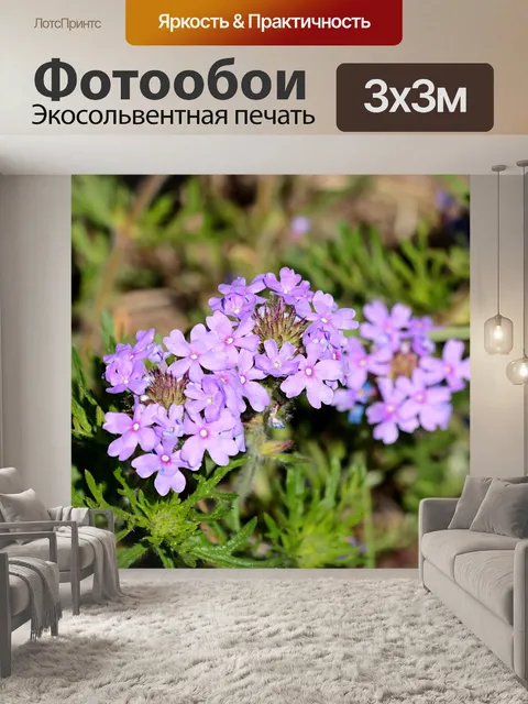 Фотообои Дакота Мок Вервин Полевые цветы