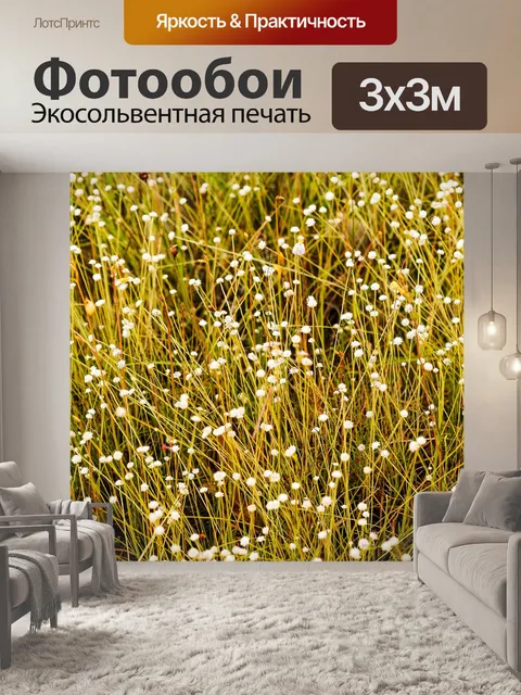 Фотообои Трава цветочное поле