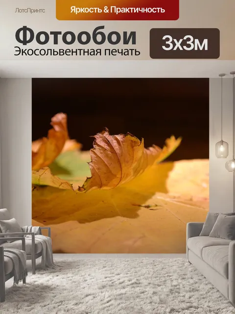 Фотообои Листья вяза