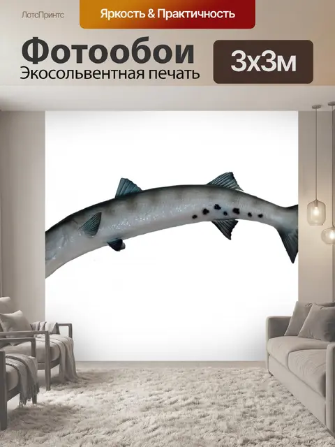 Фотообои Baracuda Рыба Гора