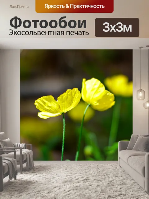 Фотообои Цветы