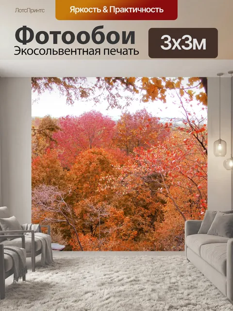 Фотообои Осенний лес перспективы
