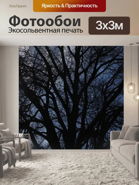 Фотообои Вяз