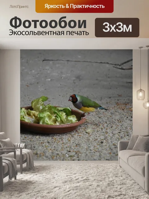 Фотообои Птица