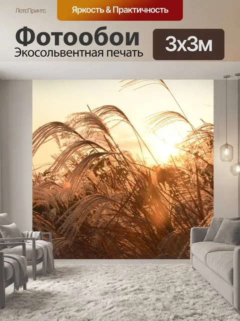 Фотообои Закат