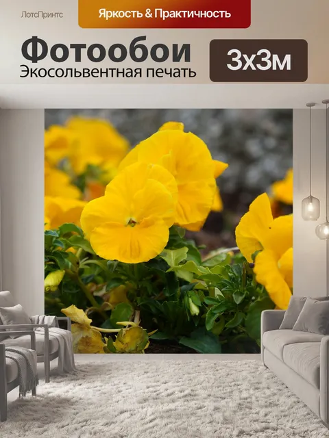 Фотообои Лист