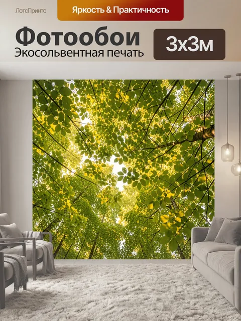 Фотообои Кроны деревьев в солнечном лесу