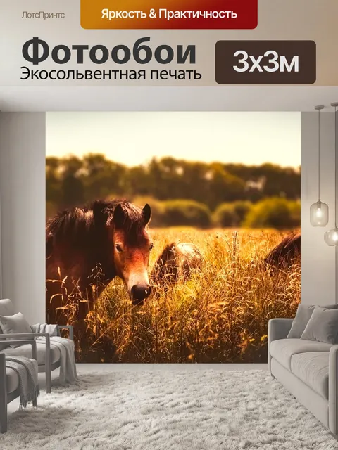 Фотообои Лошади