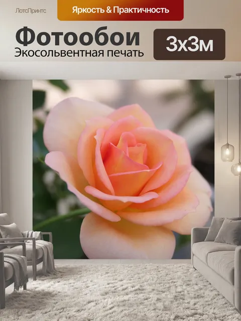 Фотообои Роза