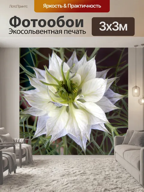Фотообои Любовь в тумане