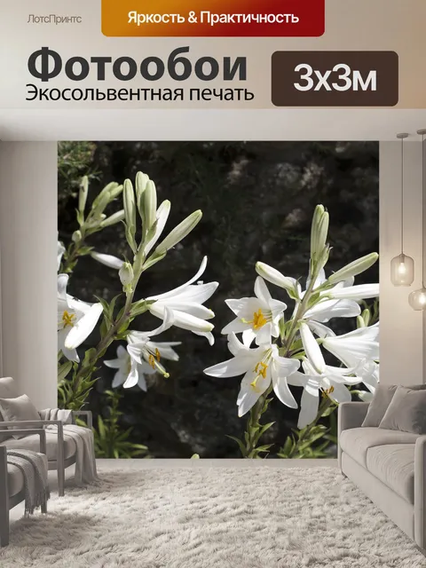 Фотообои Лили