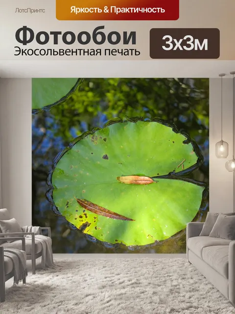 Фотообои Кувшинок