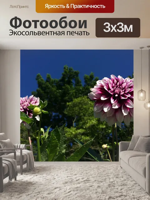 Фотообои Цветок
