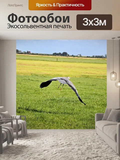 Фотообои Цапля