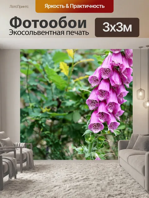 Фотообои Цветы