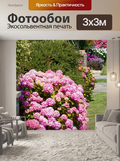 Фотообои Гортензия Буш Розовые цветы