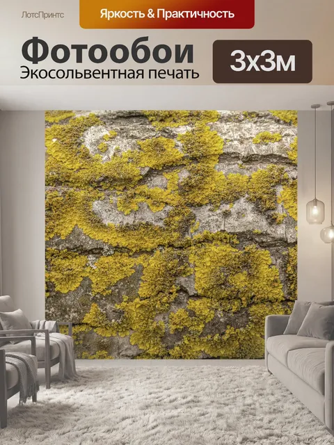 Фотообои Дерево ствола Мосс