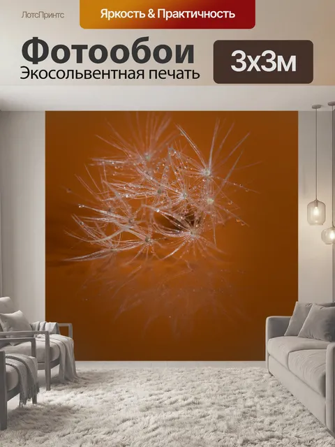 Фотообои Дождь падает на семена одуванчика