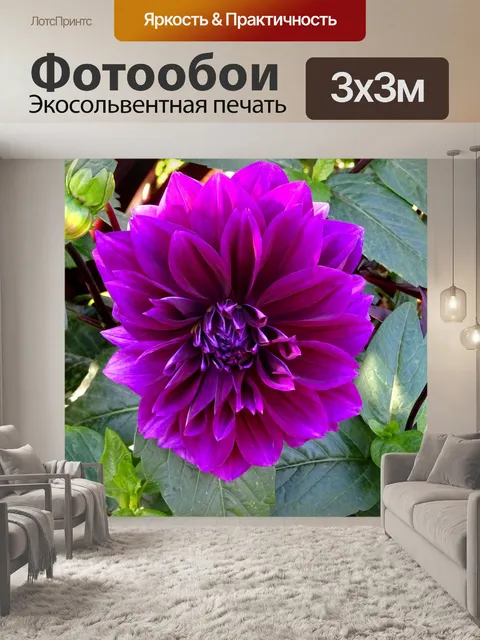 Фотообои Фиолетовый садовый цветок