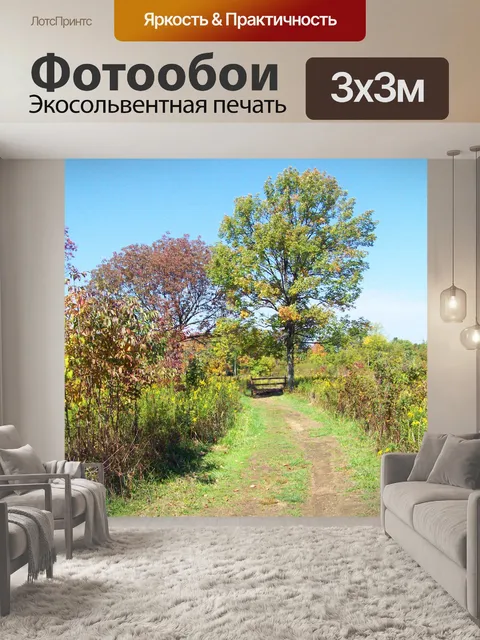 Фотообои Путь в поле