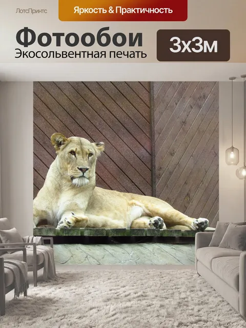 Фотообои Львица