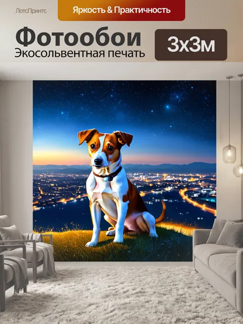 Фотообои джек-рассел-терьер, сидящий на вершине холма с видом на вечерний город