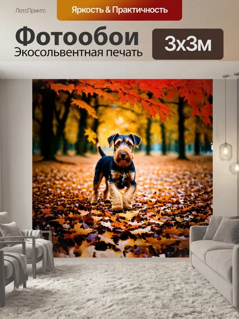Фотообои загадочный эрдельтерьер