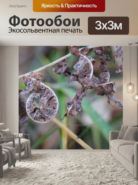 Фотообои Природа