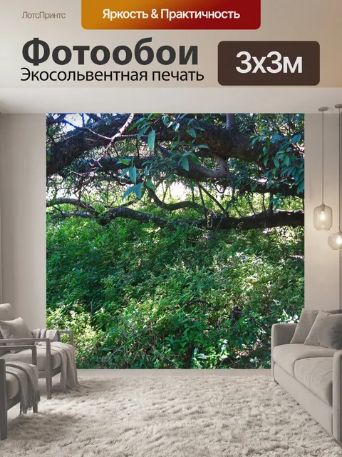 Фотообои горизонтальные ветви фигового дерева