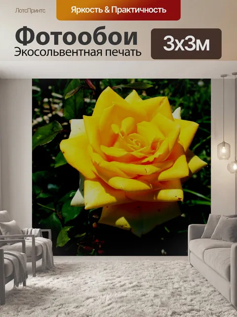 Фотообои открытые желтые розы