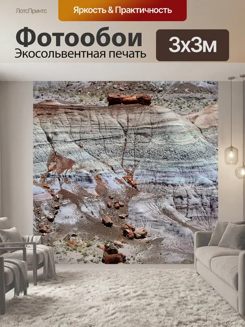 Фотообои Окаменел